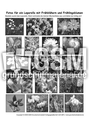 Leporello-Fotos-für-Frühbl-Frühlingsb-SW.pdf